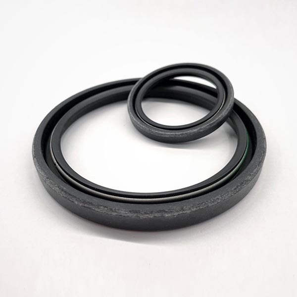 Oil Seals